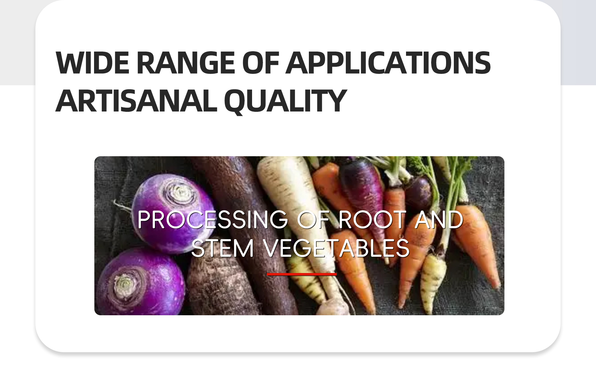 浸泡提升机英文_02