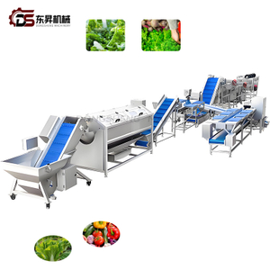 Hygienic Food Grade Assembly with Detachable Parts for Small Workshops Dual Purpose Vegetable Processing Line