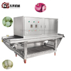 Efficient Onion Peeling Machine for Vegetable Factories Energy Saving To Boost Onion Seasoning Production Efficiency