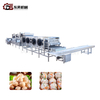 304 Stainless Steel Large Scale Meatball Mechanical Line with Mixers for Beef Slaughterhouses Large Scale Meatball Processing Line