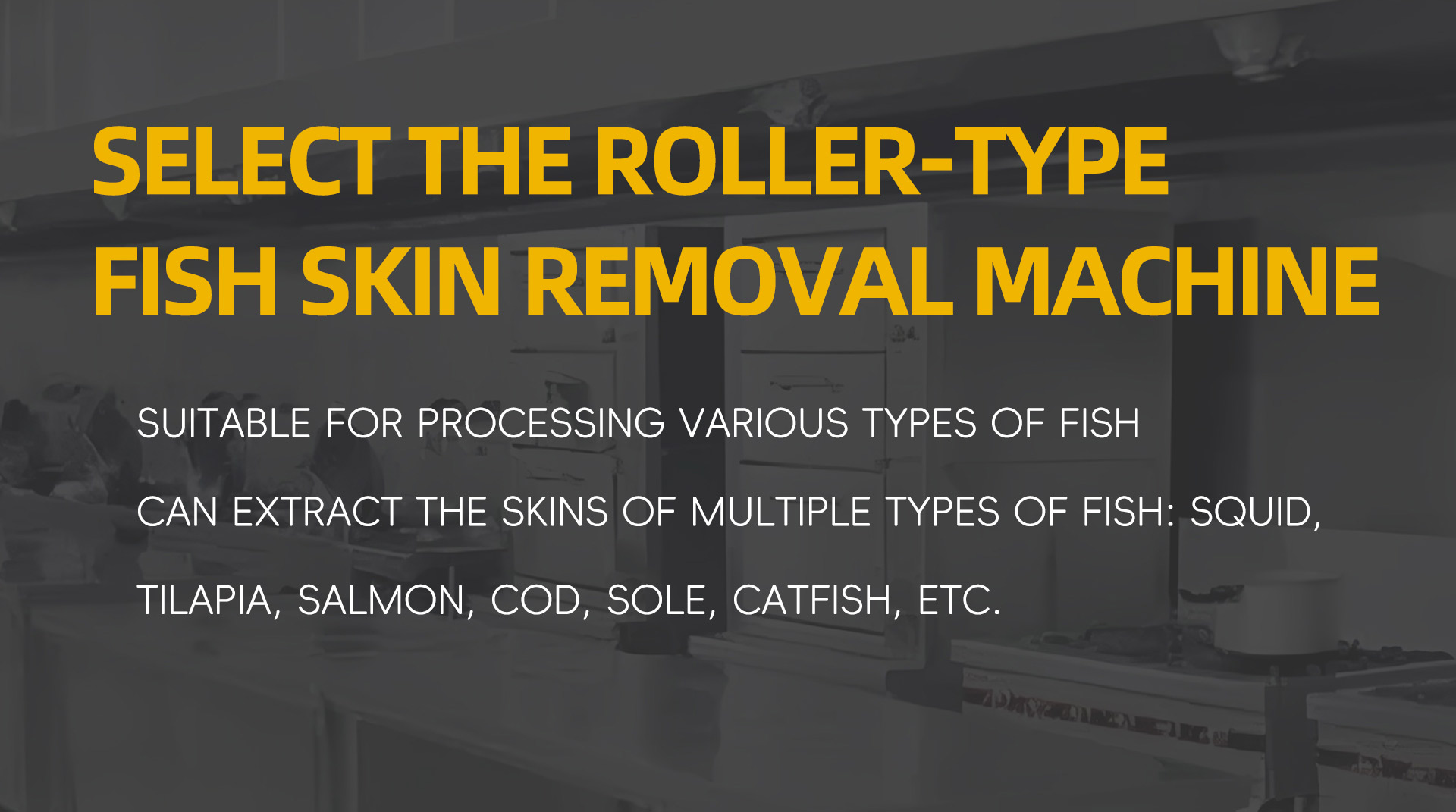 压辊式去鱼皮机英文_06