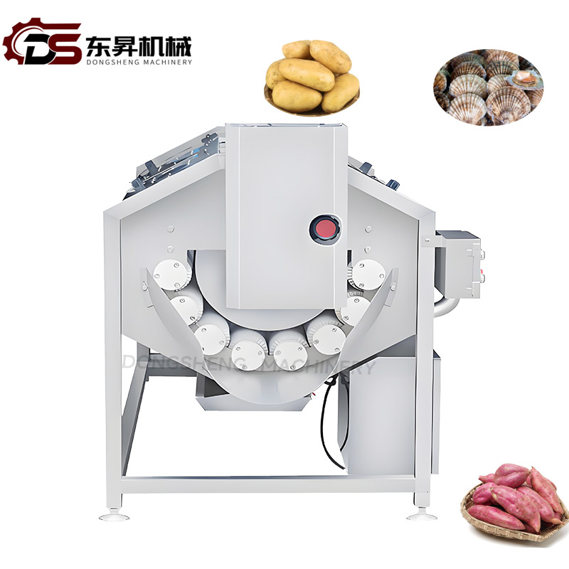 304 Stainless Steel Continuous Brush Mechanical with Rotating Brushes for Lettuce Factories Continuous Brush Washing Machine