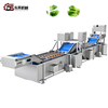 Water Saving High Efficiency Machine with Soft Sprayers for Medium Veg Plants Vegetable Nondestructive Cleaning Line