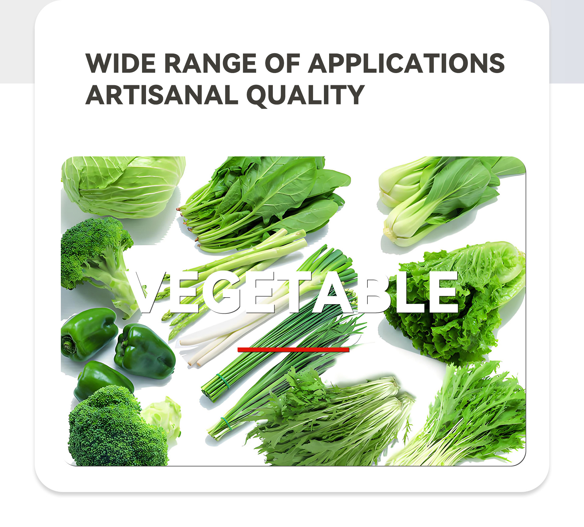 5.蔬菜无损清洗线英文_02