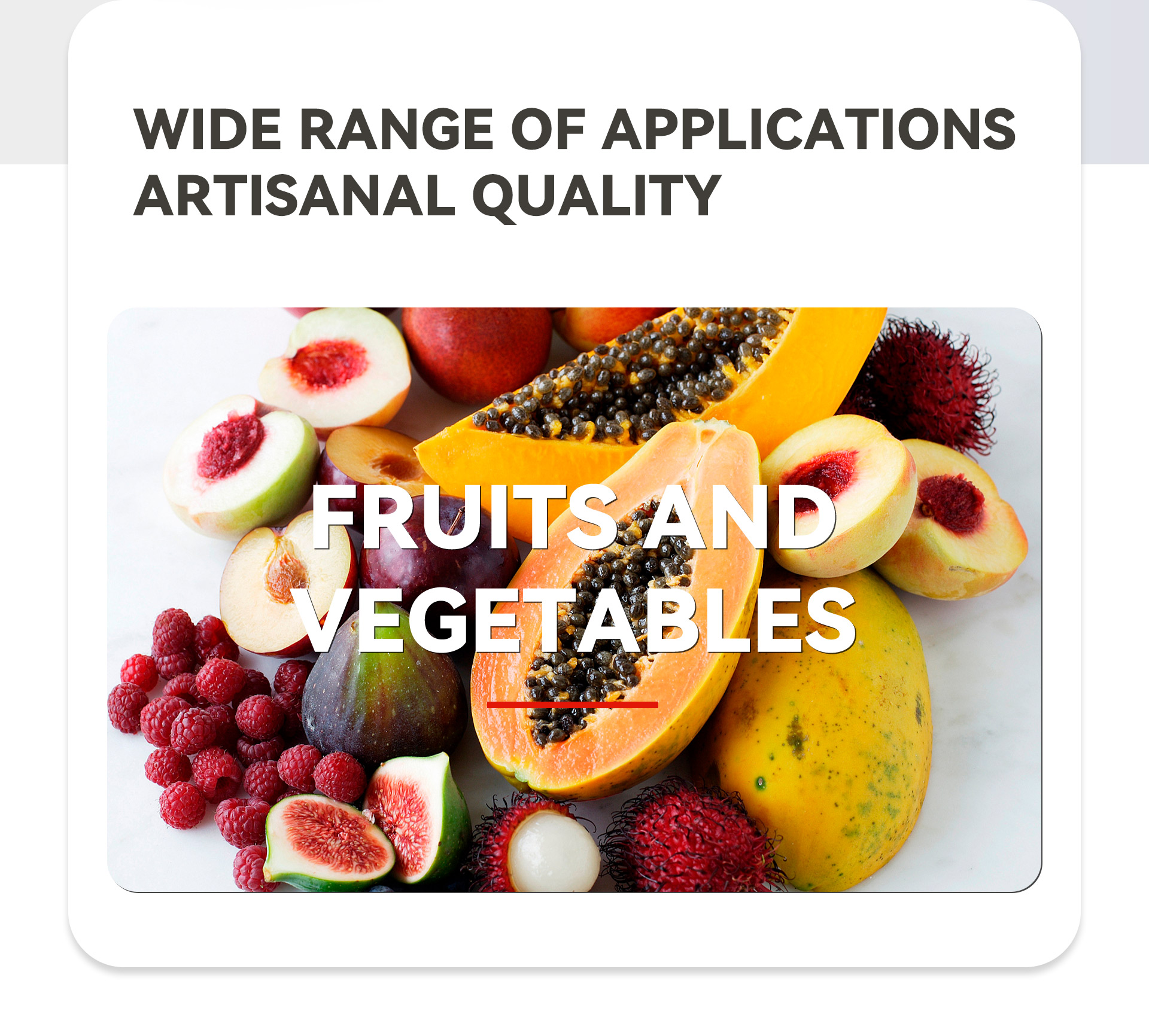 2单双头削皮机英文_02