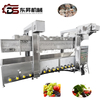 Dongsheng Stainless Steel Steaming Boiling Blanching Line for Vegetables