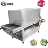 Efficient Onion Peeling Machine for Vegetable Factories Energy Saving To Boost Onion Seasoning Production Efficiency