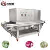 Efficient Onion Peeling Machine for Vegetable Factories Energy Saving To Boost Onion Seasoning Production Efficiency