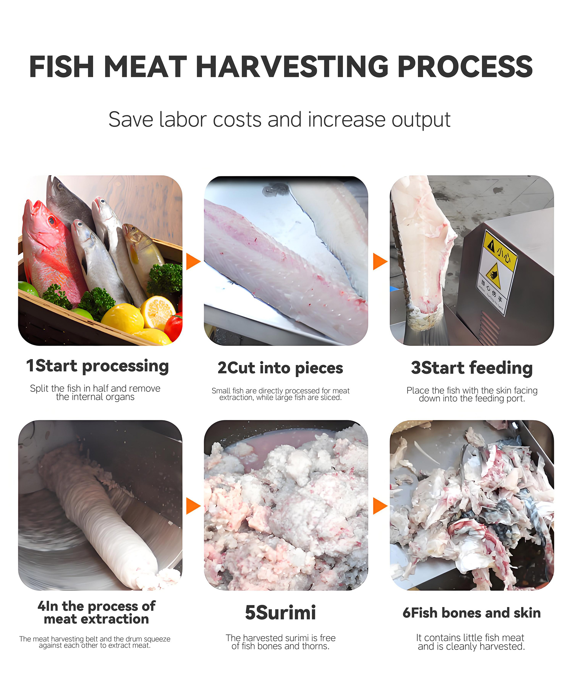 9鱼肉采肉机英文_06