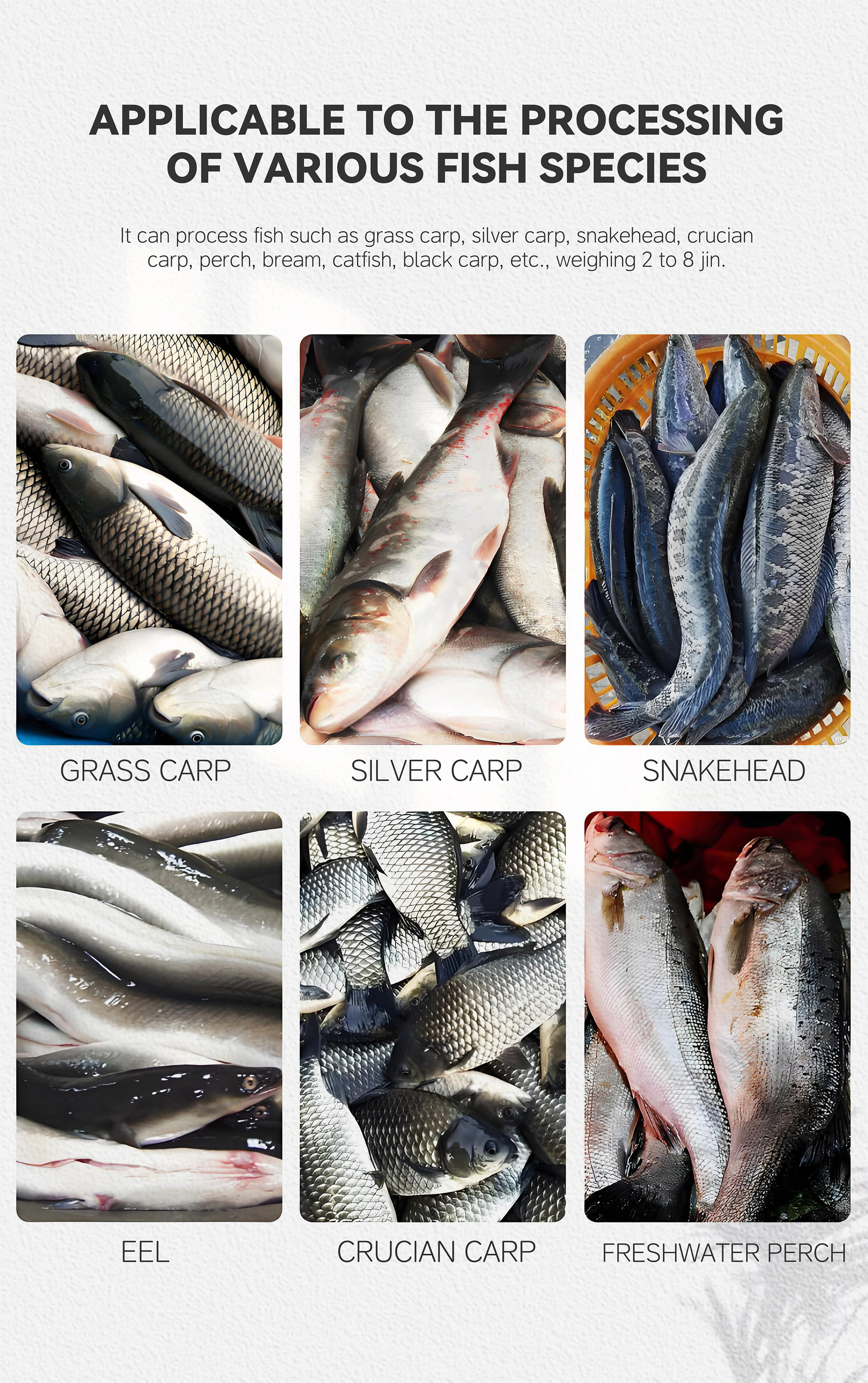 5三枚开片去中骨机英文_07