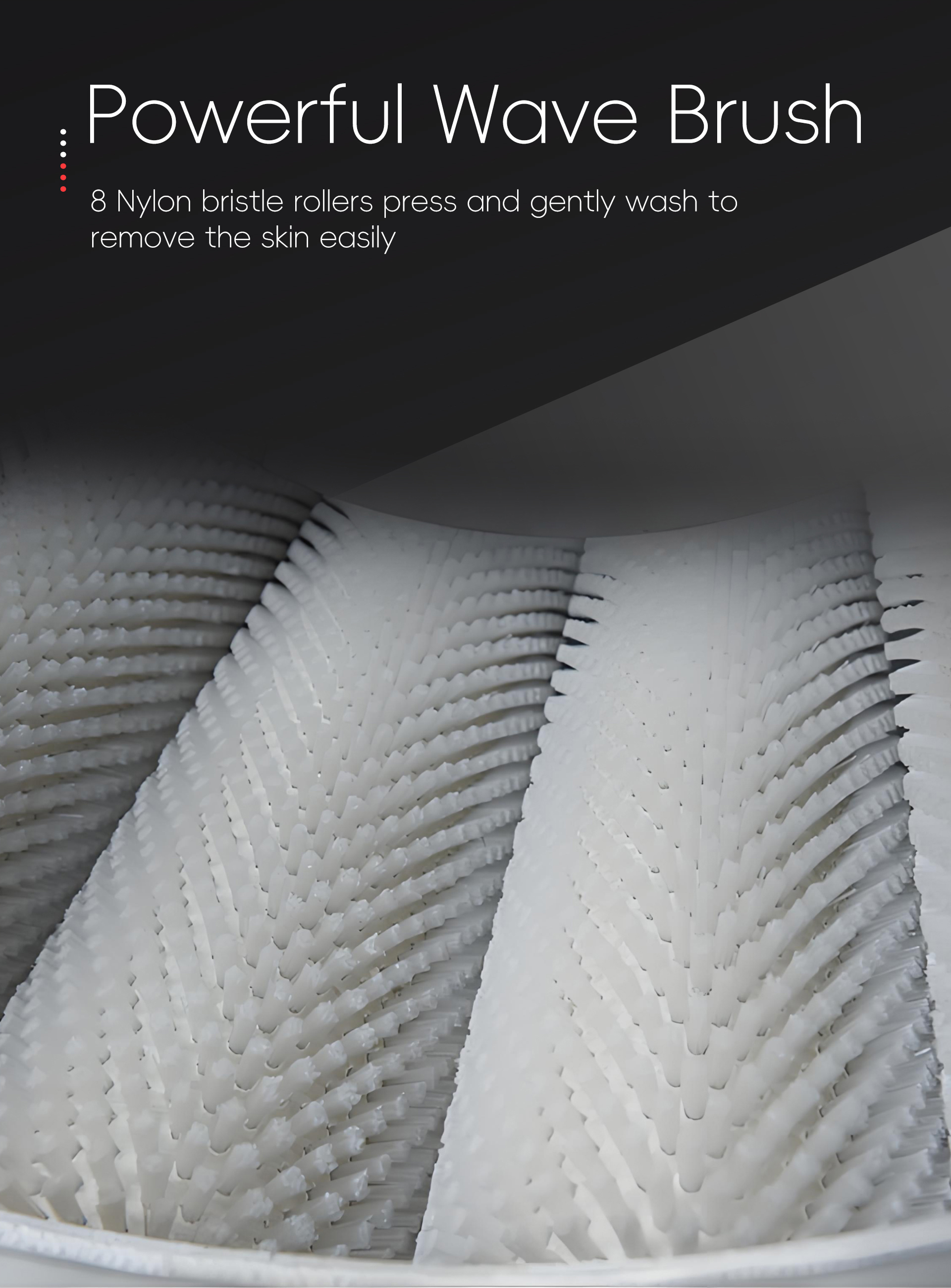 毛刷清洗机英文_05