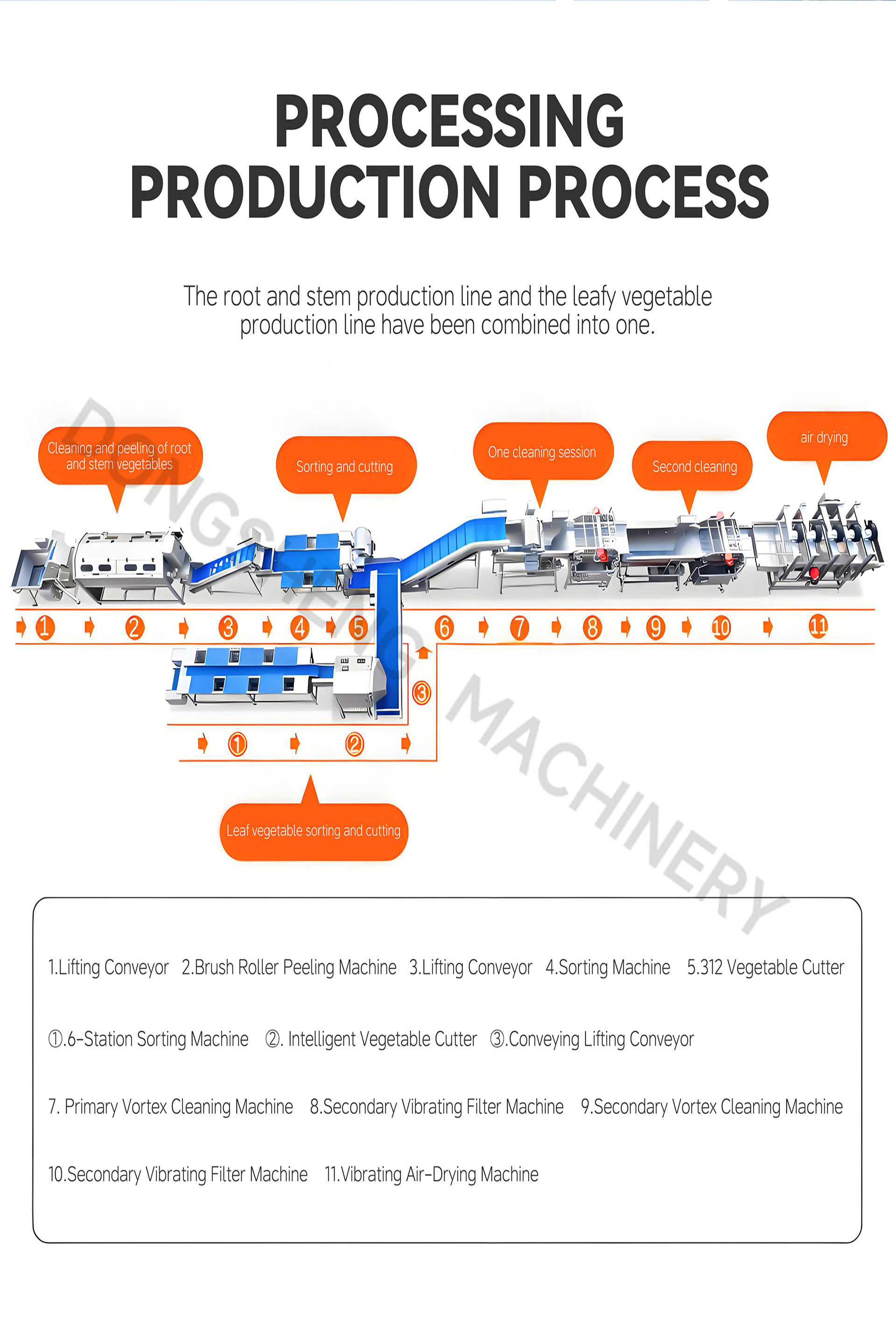 双用蔬菜加工流水线英文_01-(5)