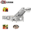 Industrial Vegetable Washer with Stainless Steel Bubble Technology