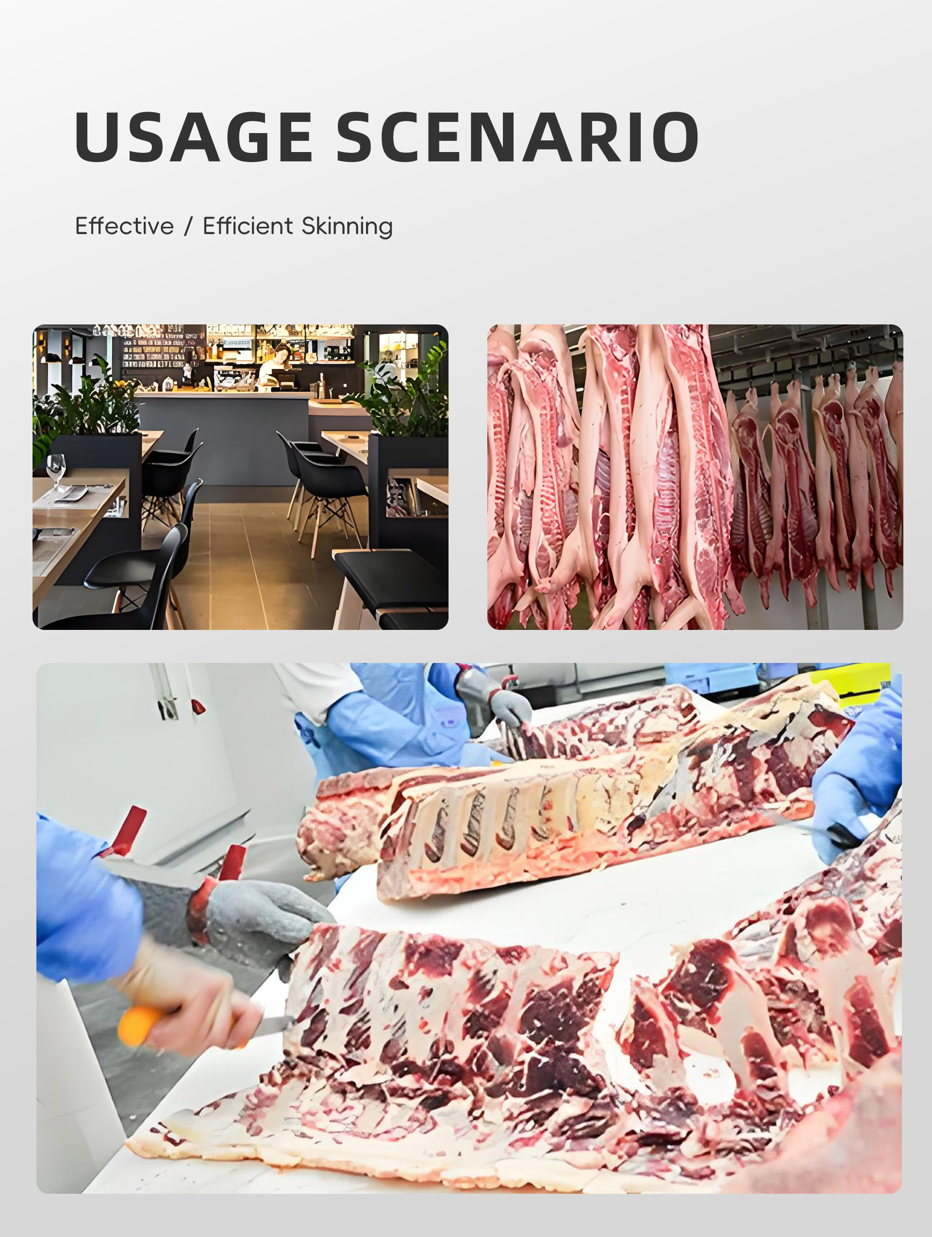 猪肉去皮机英文_07