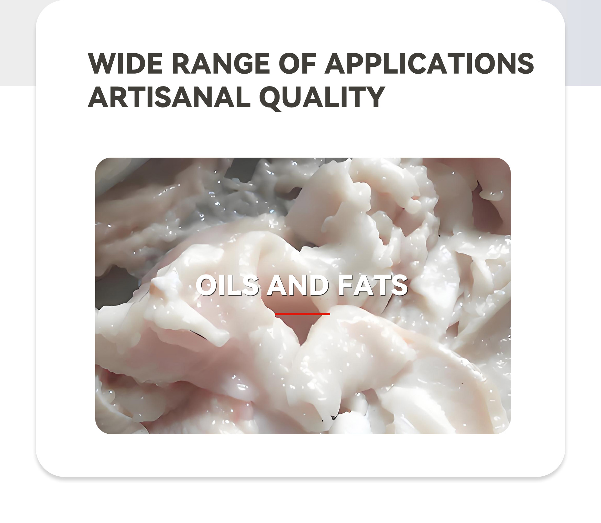 猪皮去油机英文_02