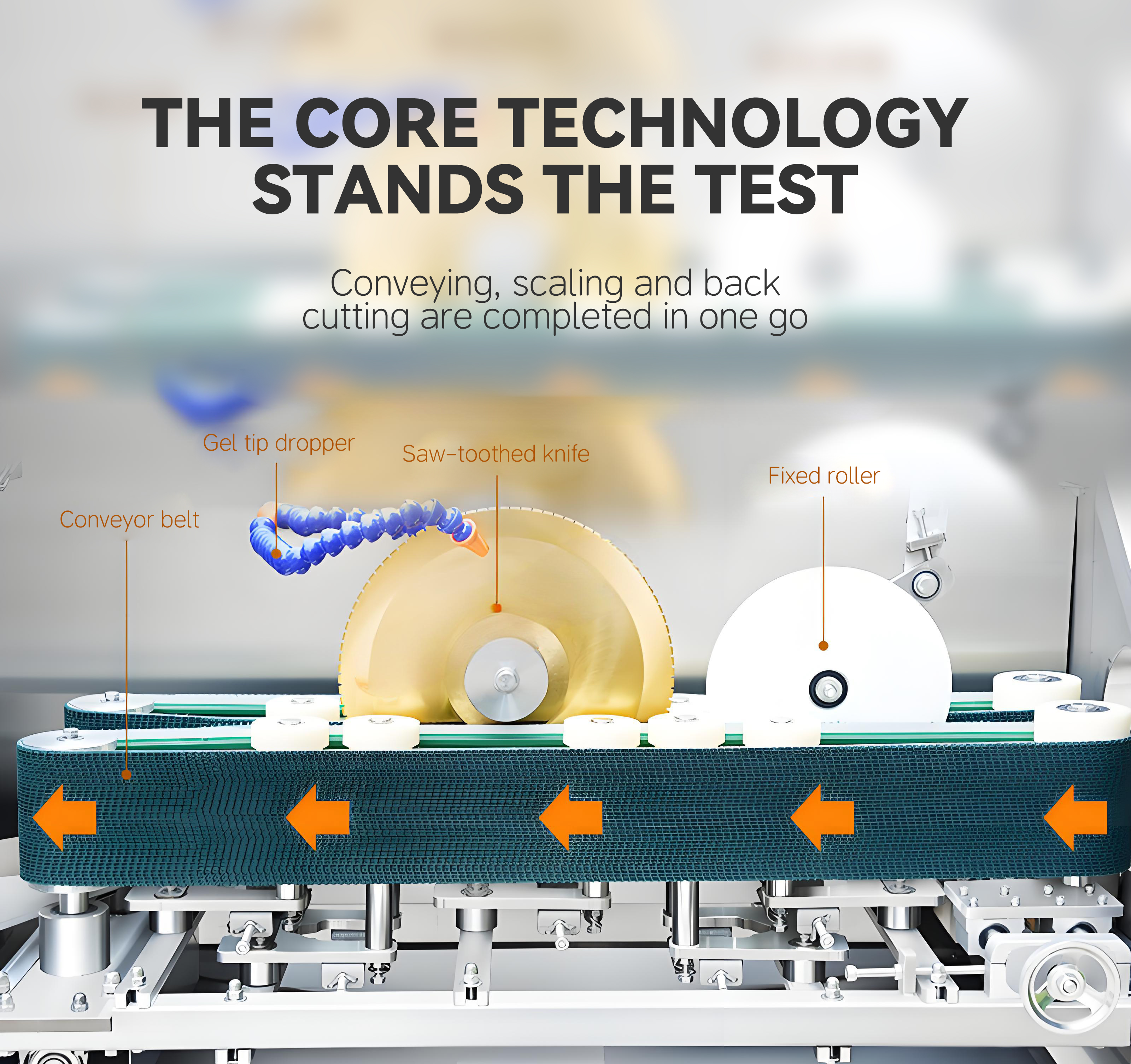 4去鳞开背一体机英文_005