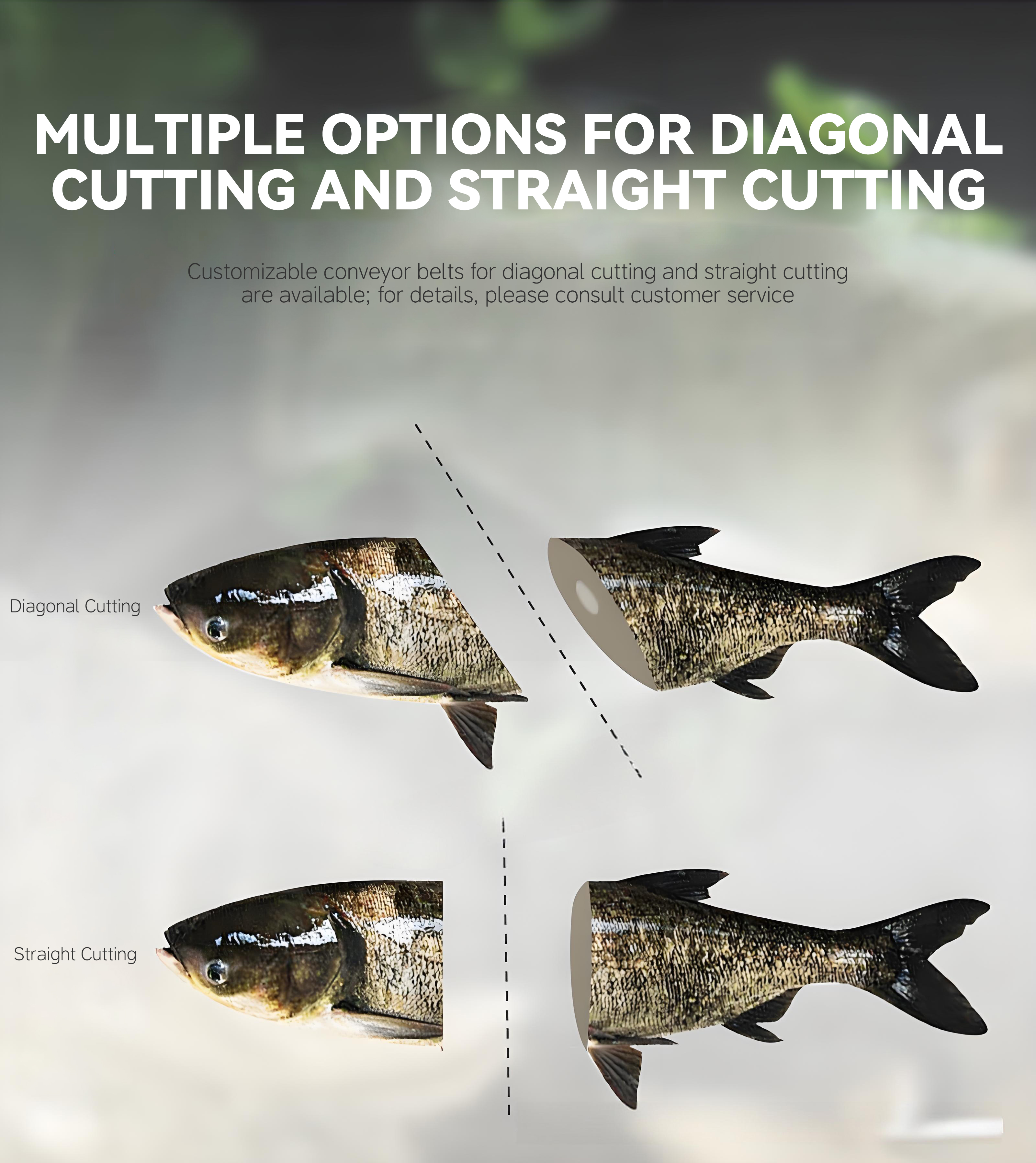 6斜切鱼头机英文_005