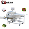 Efficient Stainless Steel Meat and Fish Cutting Machine Odj-60