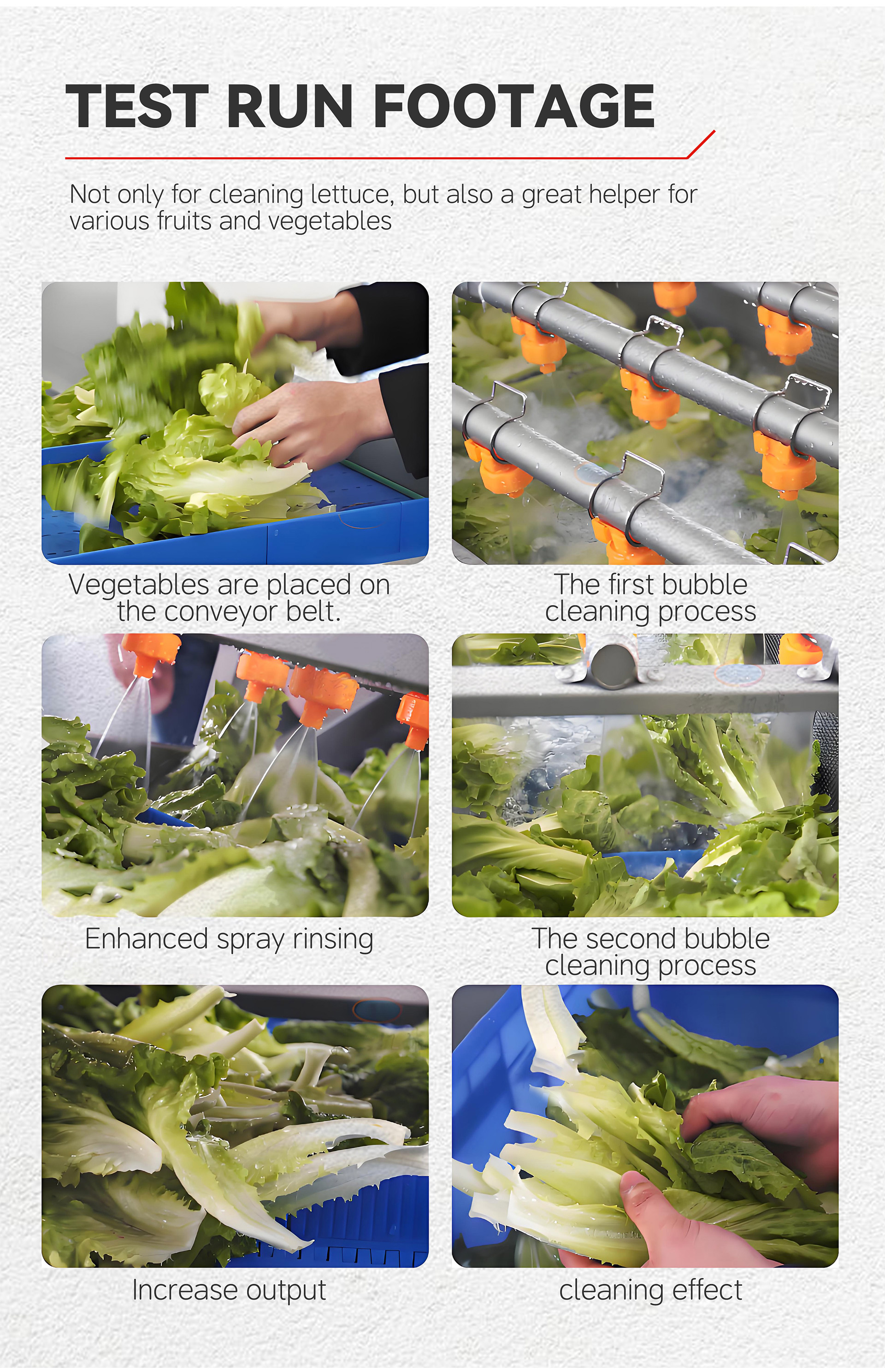 5.蔬菜无损清洗线英文_04