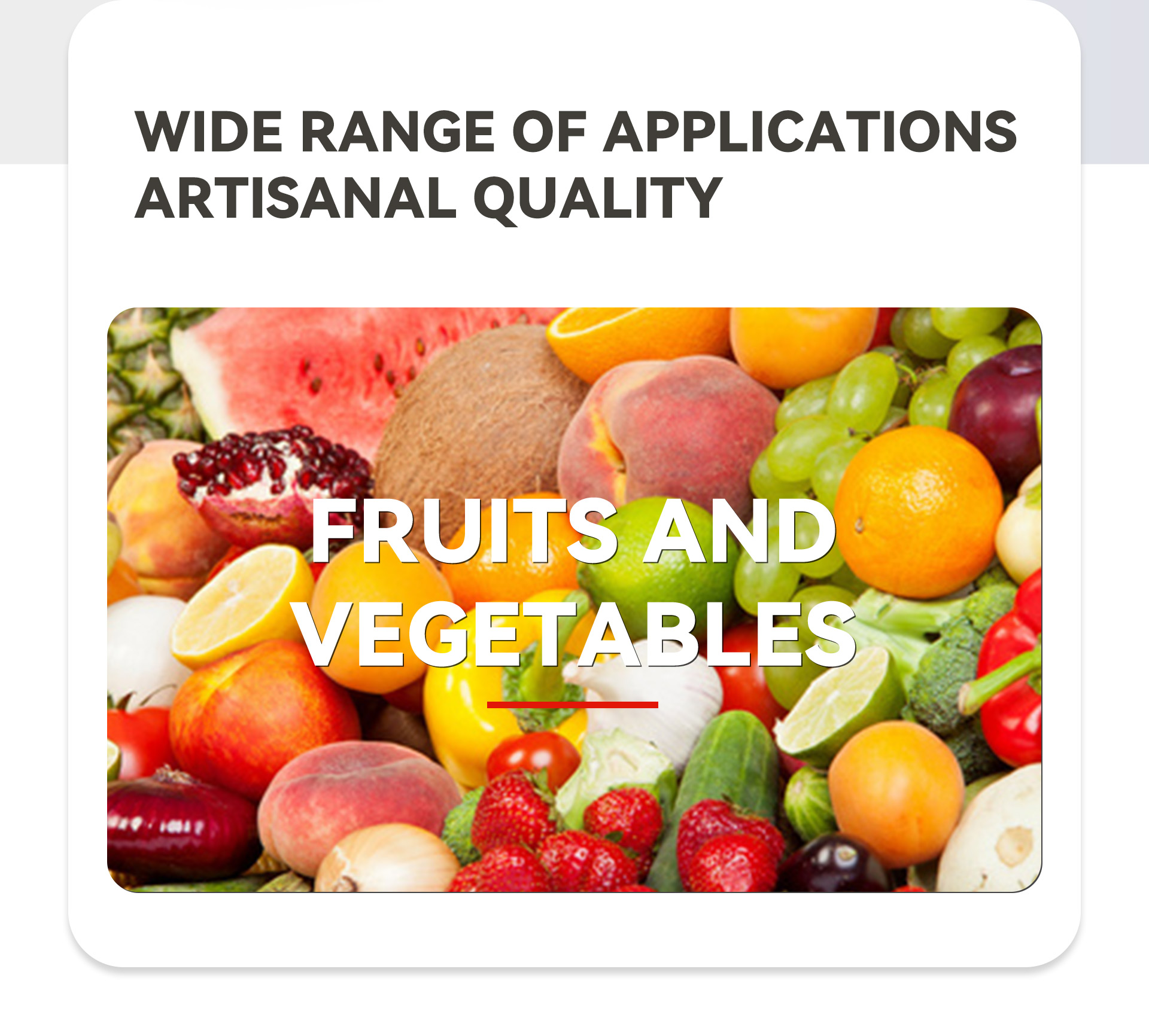 10双工位苹果梨削皮机英文_02