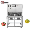 Efficient Industrial Frozen Fruit Processing Line Apple Pear Peeler