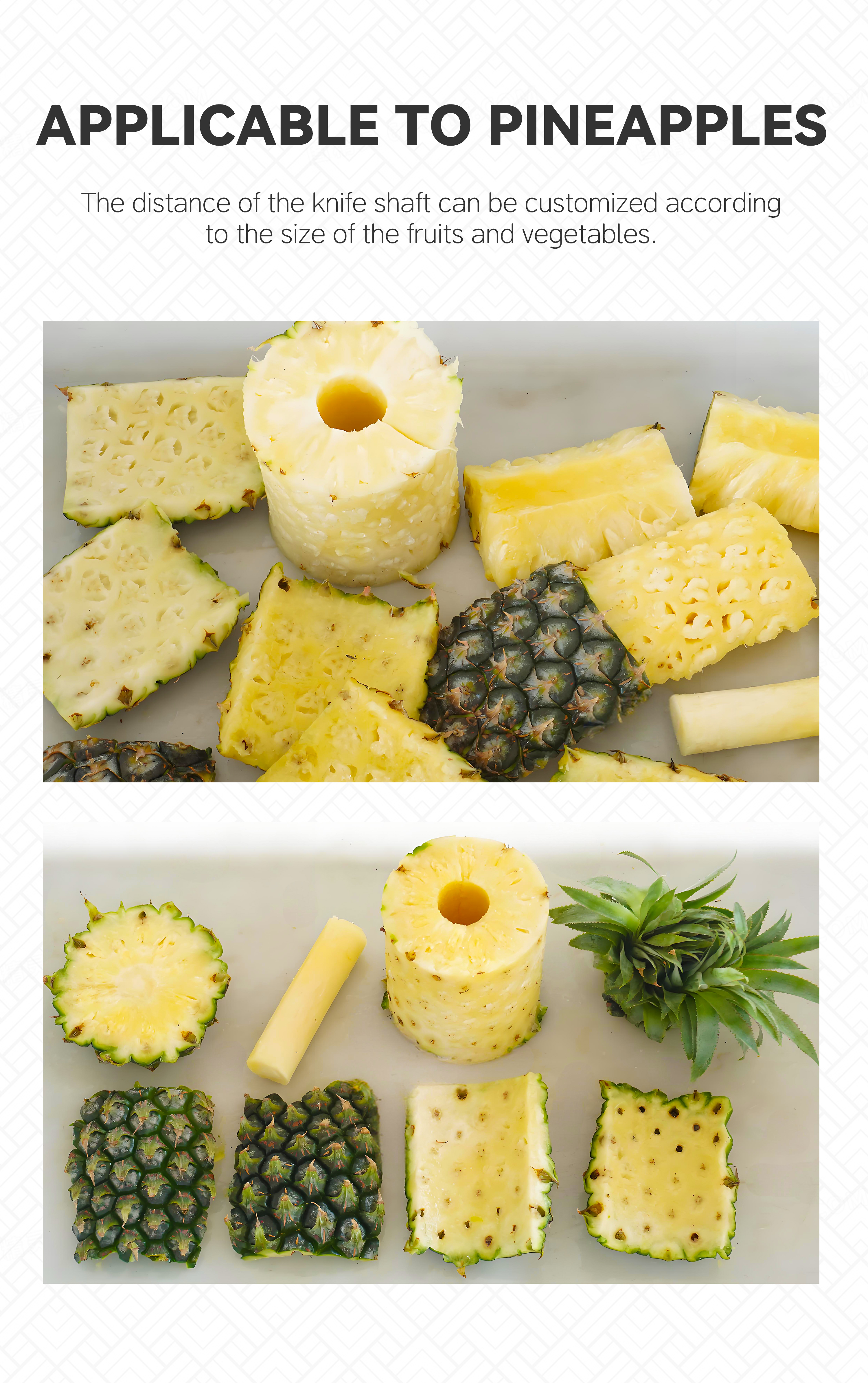 12菠萝削皮去芯机英文_0006