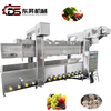 Dongsheng Stainless Steel Steaming Boiling Blanching Line for Vegetables