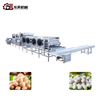 304 Stainless Steel Large Scale Meatball Mechanical Line with Mixers for Beef Slaughterhouses Large Scale Meatball Processing Line