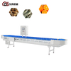 Automated Weight Sorting Machinery with Timers for Root Vegetable Processing Workshops Weight Sorter
