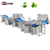 Water Saving High Efficiency Machine with Soft Sprayers for Medium Veg Plants Vegetable Nondestructive Cleaning Line