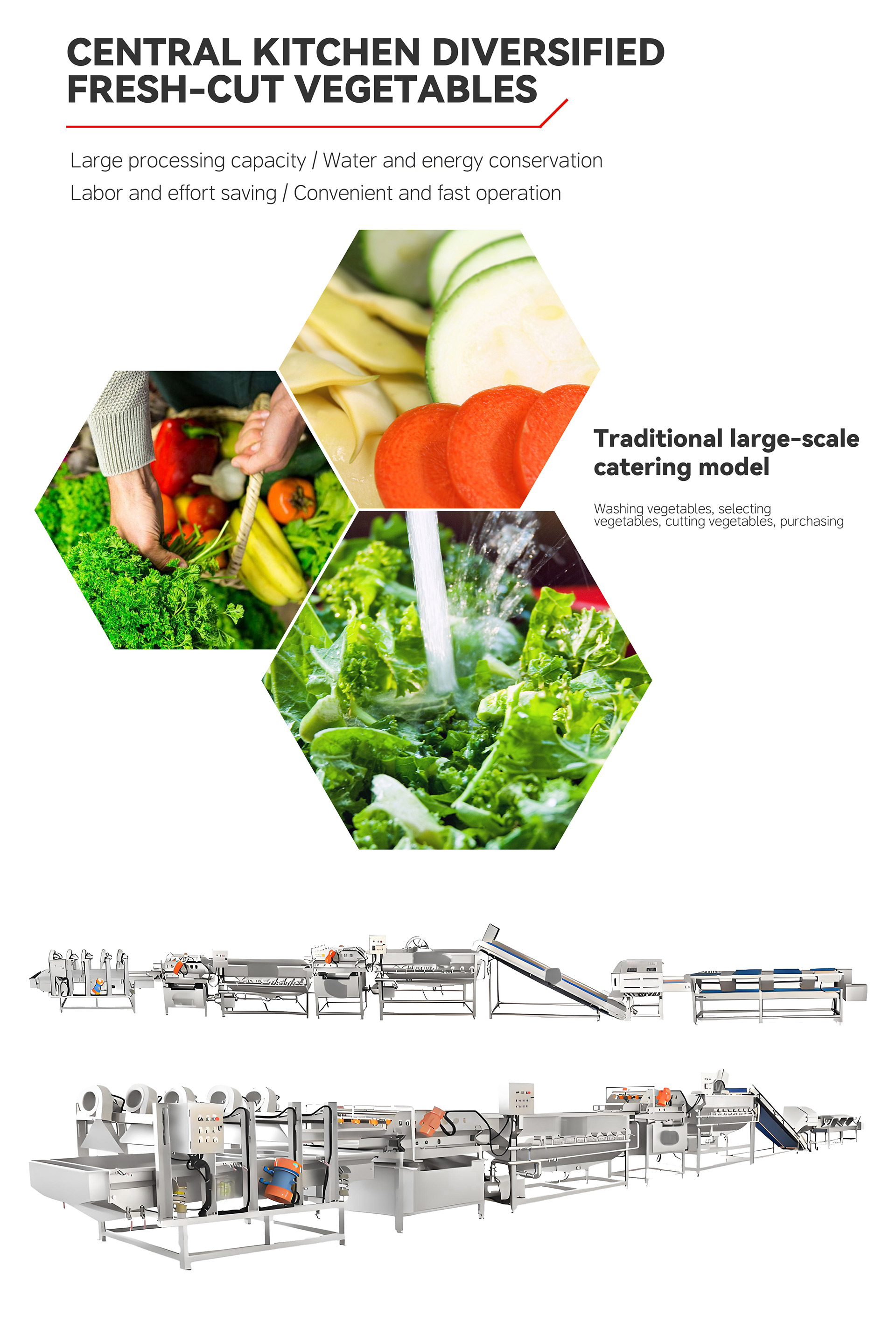 2叶菜类蔬菜加工流水线英文_06