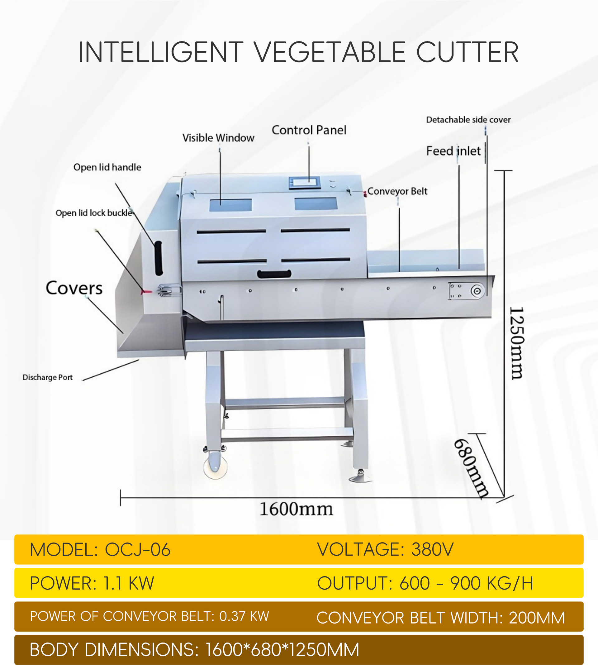 双用蔬菜加工流水线英文_01 (10)