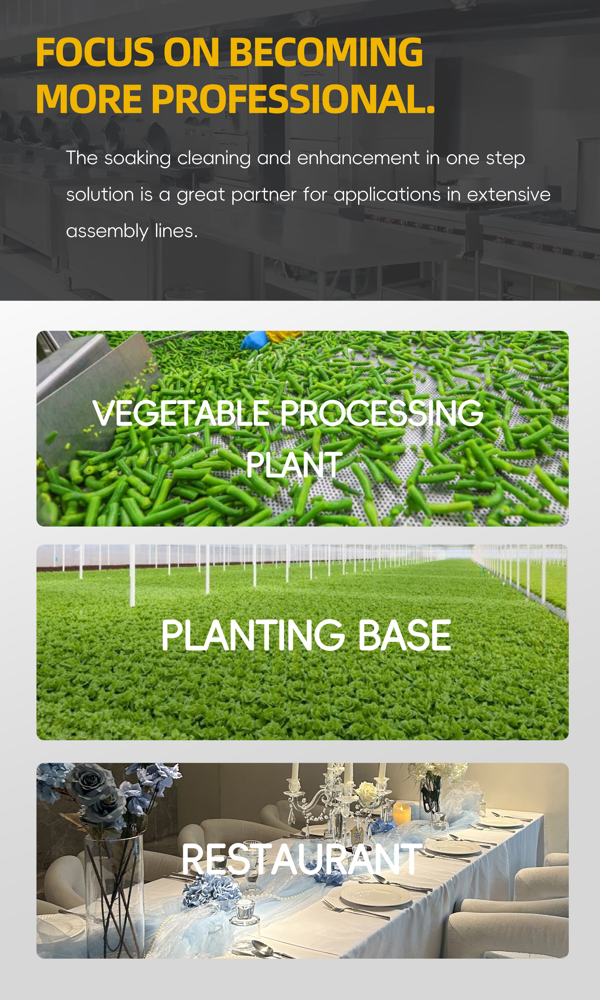 浸泡提升机英文_07