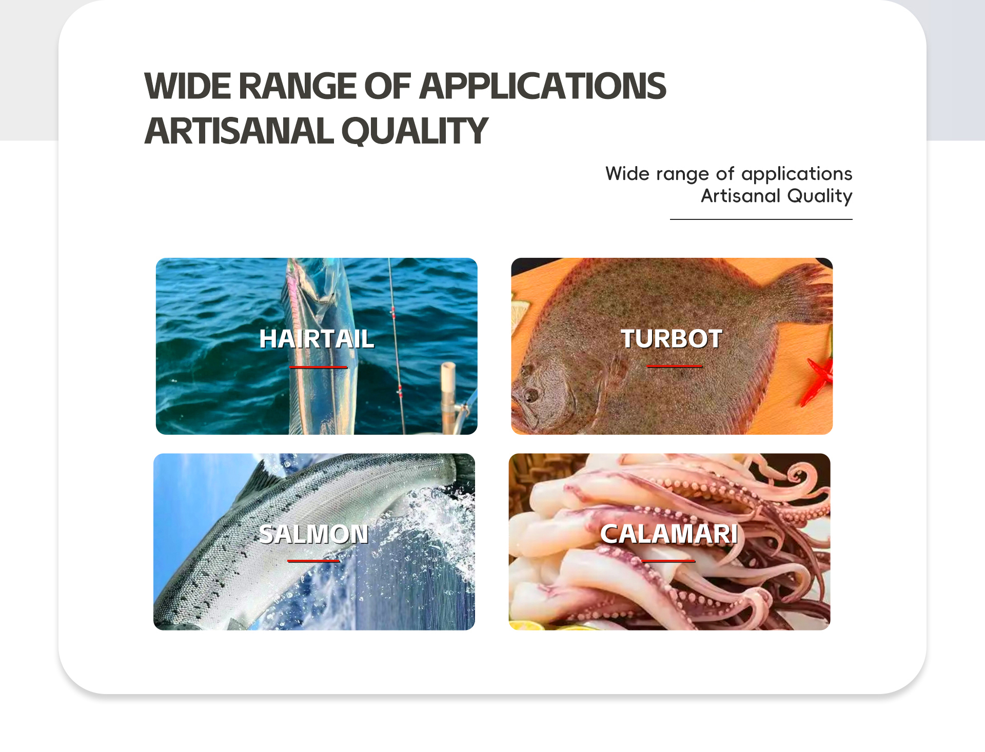 单层分选机英文_02