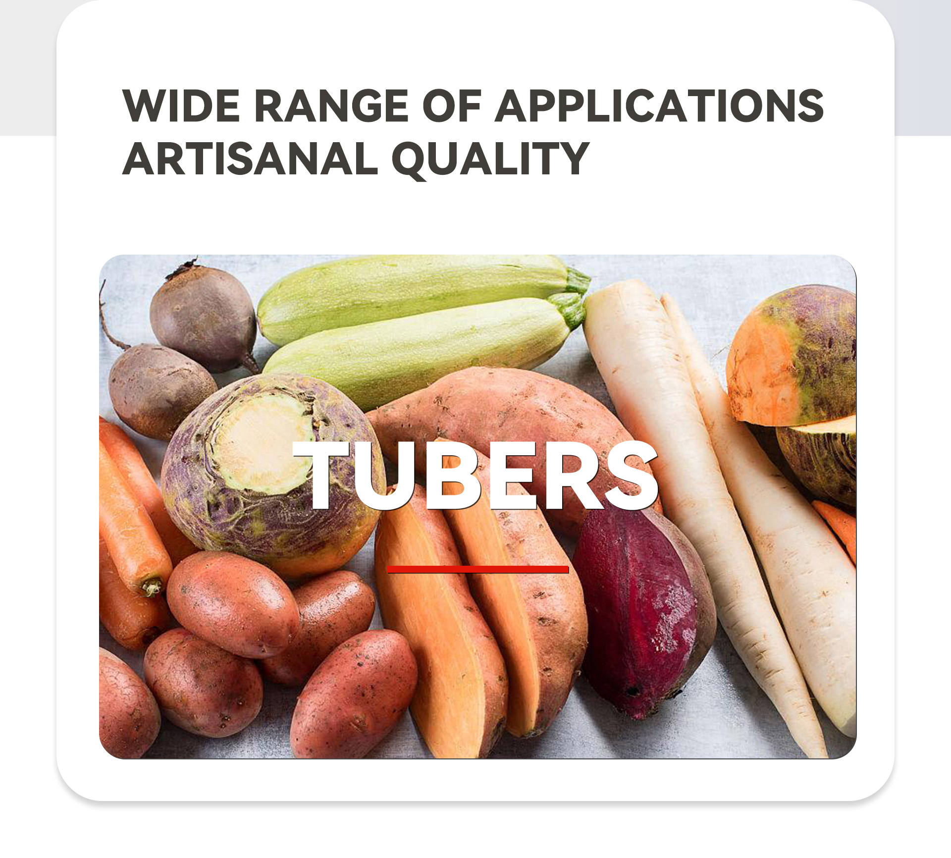 根茎类蔬菜加工流水线英文_02