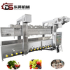 Dongsheng Stainless Steel Steaming Boiling Blanching Line for Vegetables