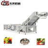 Industrial Vegetable Washer with Stainless Steel Bubble Technology