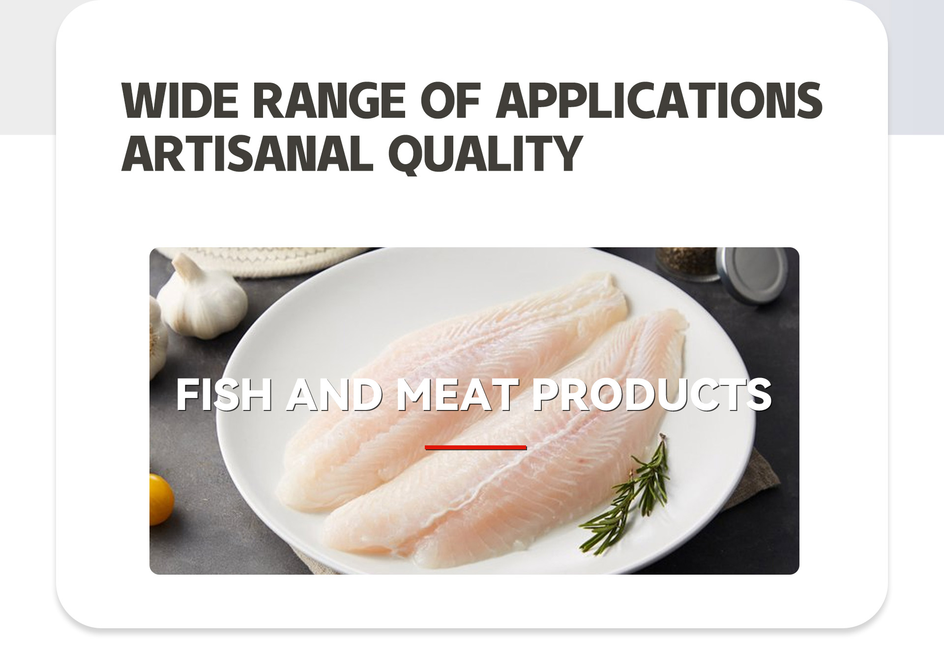 压辊式去鱼皮机英文_02