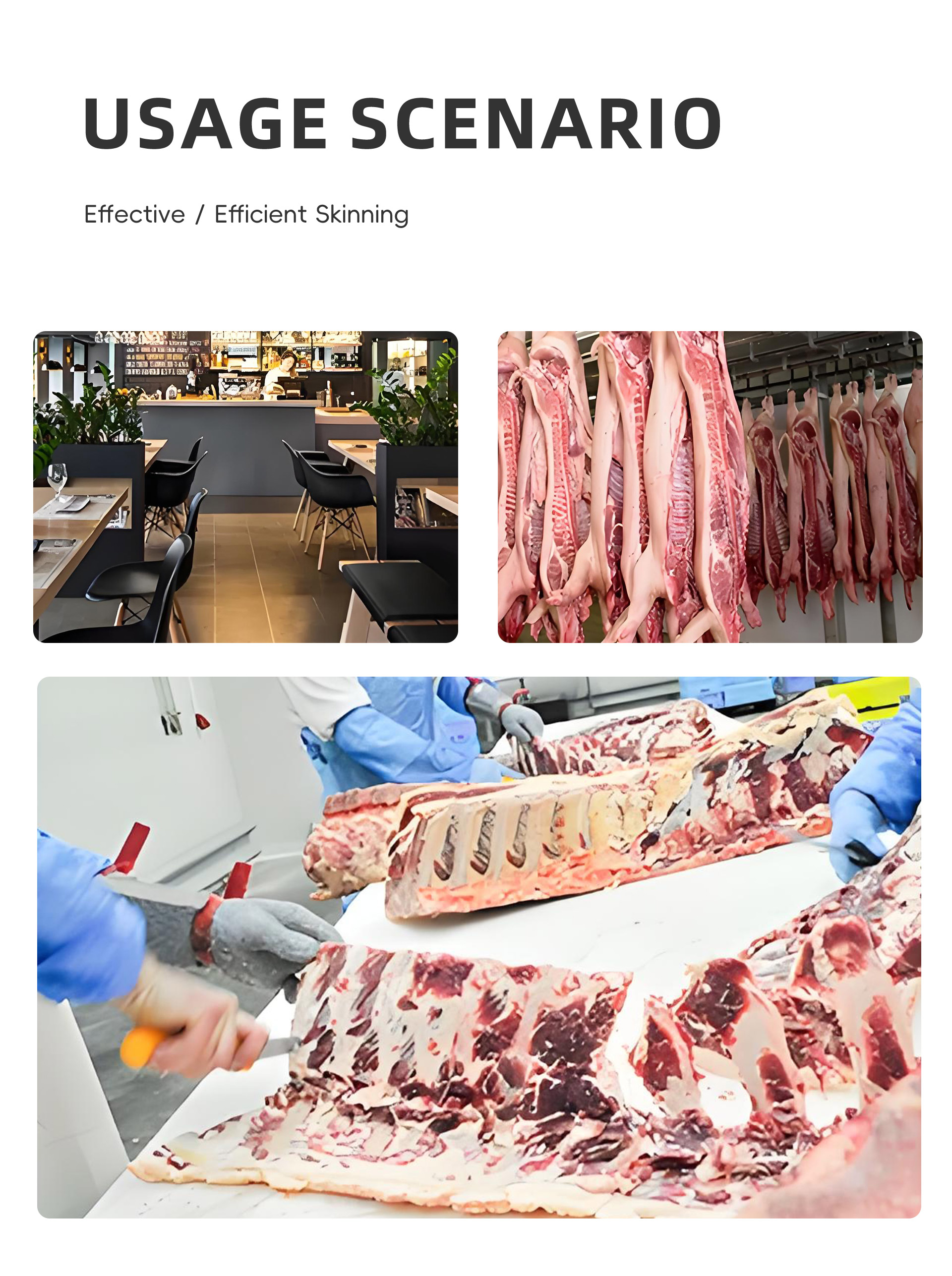 自动猪肉去皮机英文_07