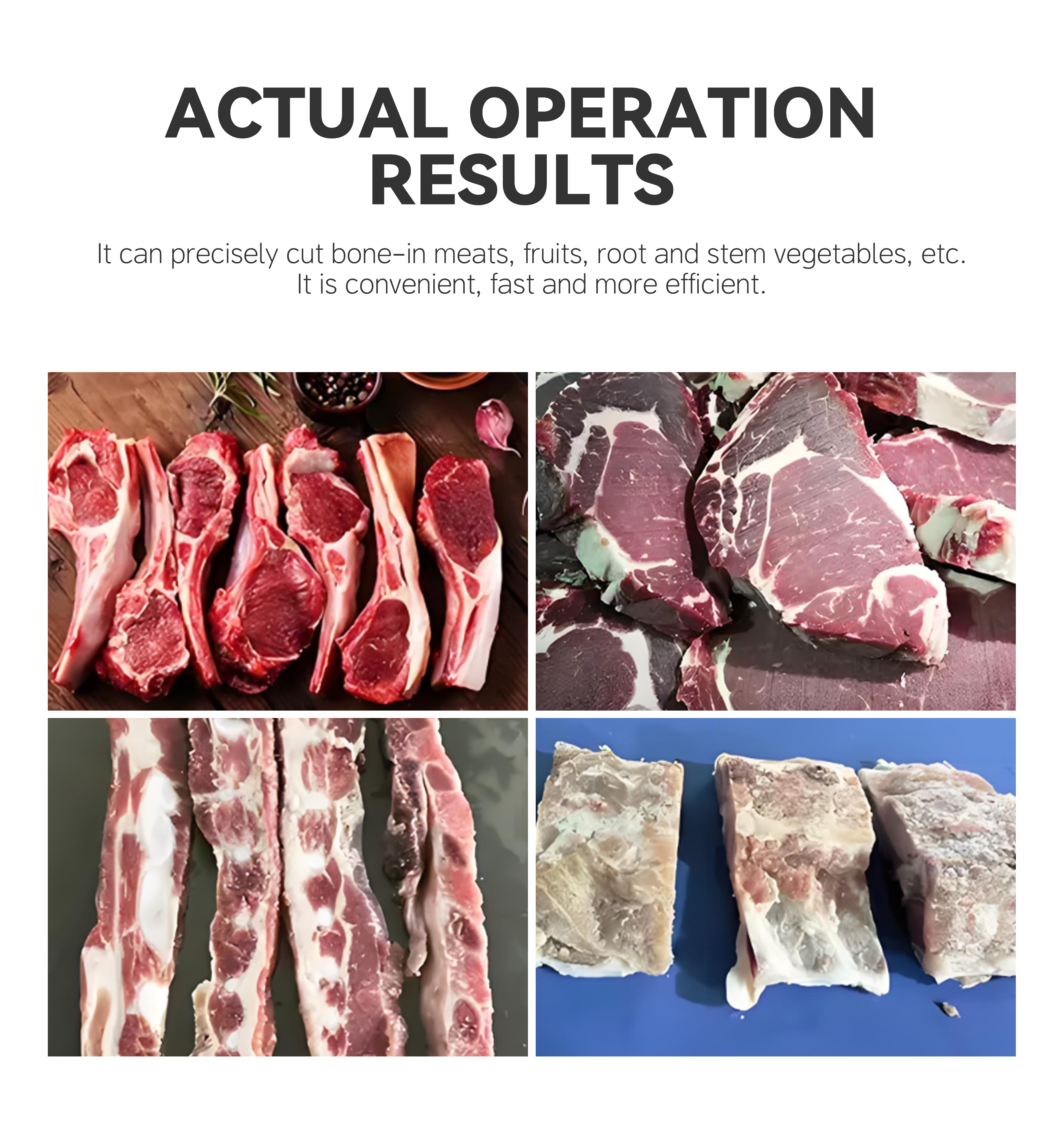 10.420往复式锯骨机英文_006