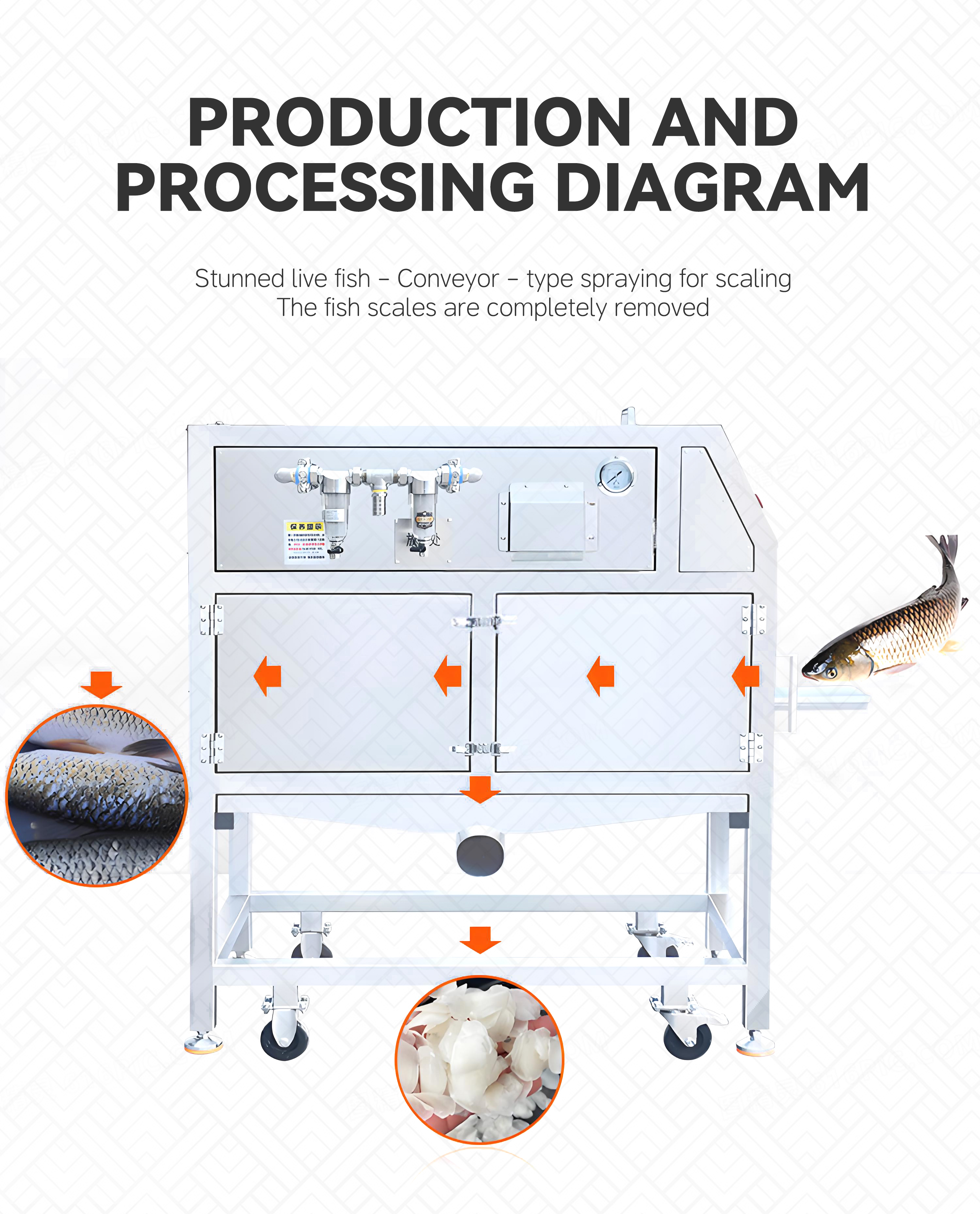 2高压去鱼鳞机英文_006