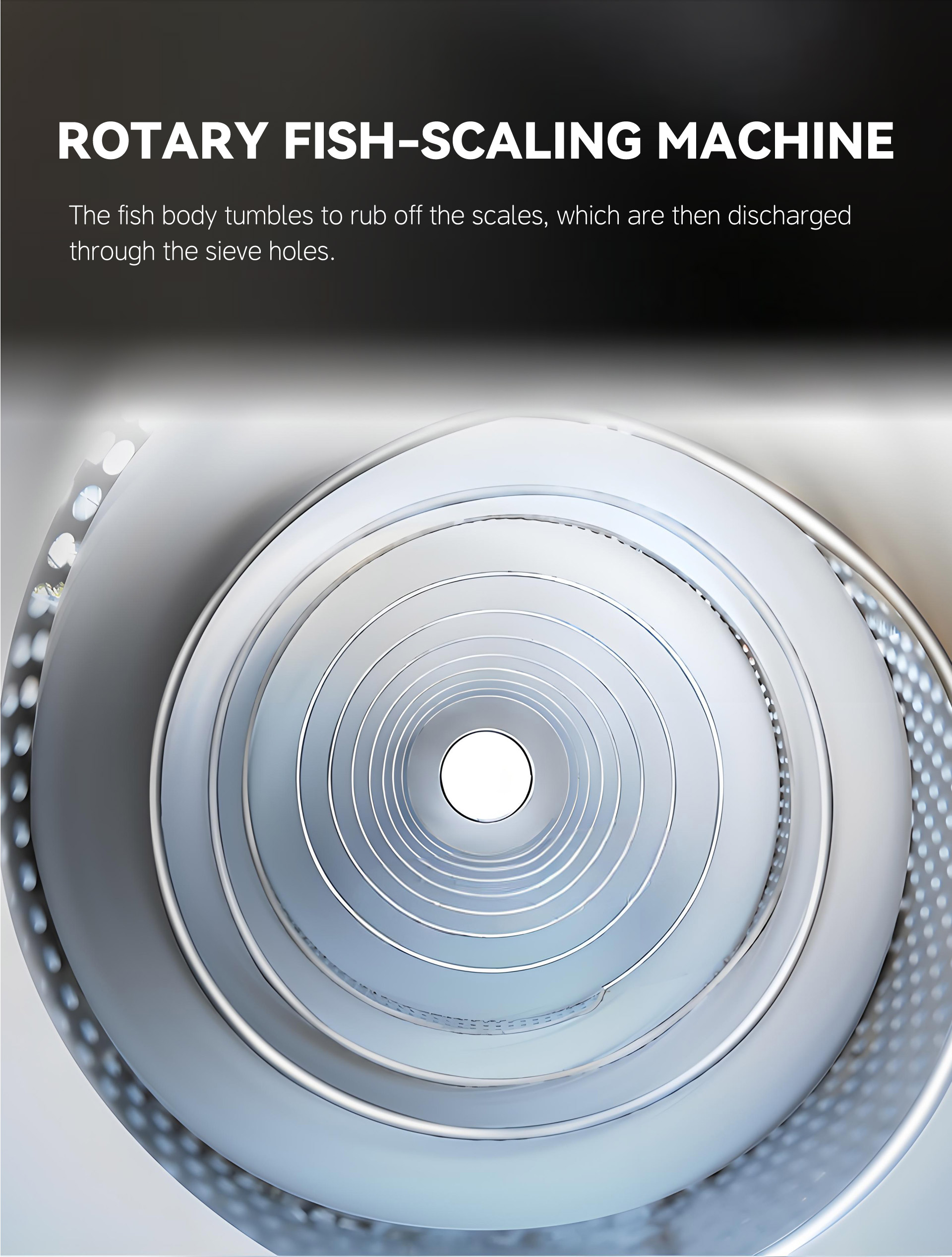 10滚筒去鳞机英文_05