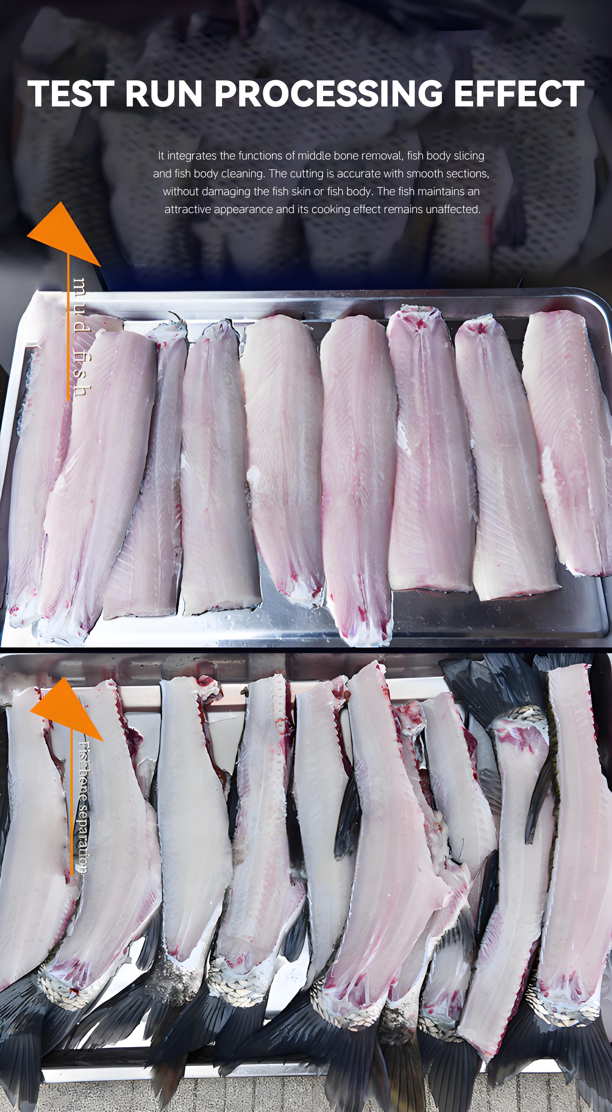 5三枚开片去中骨机英文_005