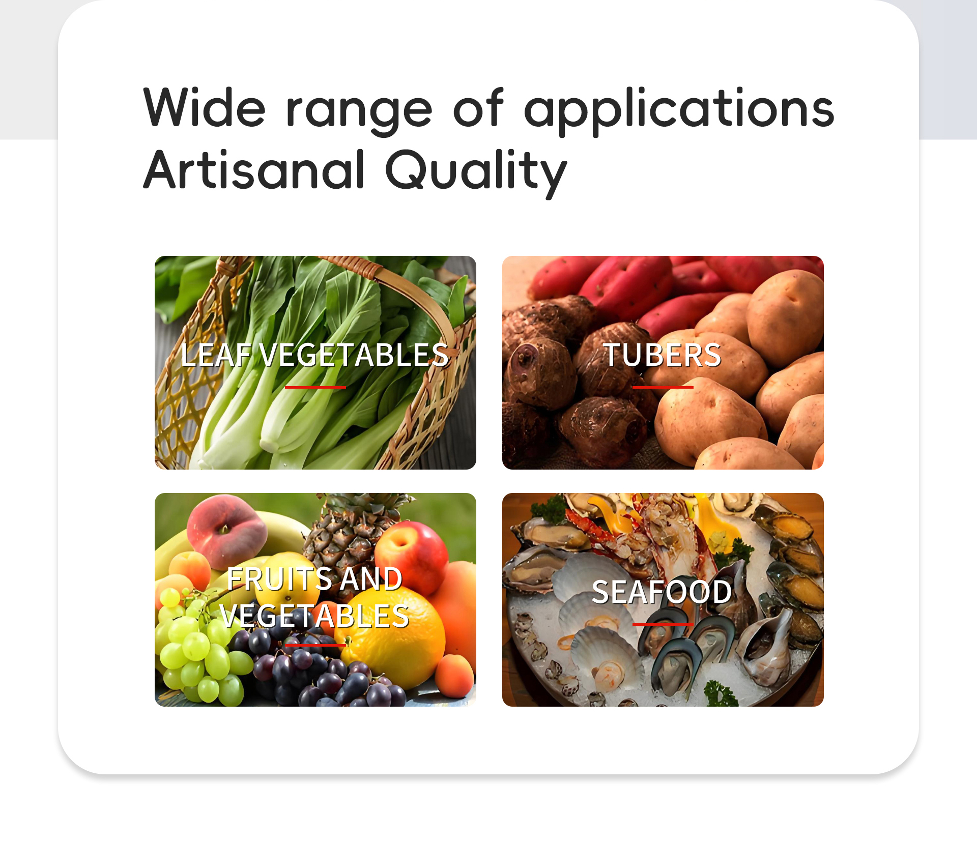 连续式毛刷洗机英文_02