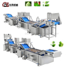 Water Saving High Efficiency Machine with Soft Sprayers for Medium Veg Plants Vegetable Nondestructive Cleaning Line