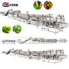 Stainless Steel Durable Machinery with Blanching Dehydration Units for Leafy Veg Plants Leafy Vegetable Processing Line