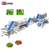 Hygienic Food Grade Assembly with Detachable Parts for Small Workshops Dual Purpose Vegetable Processing Line