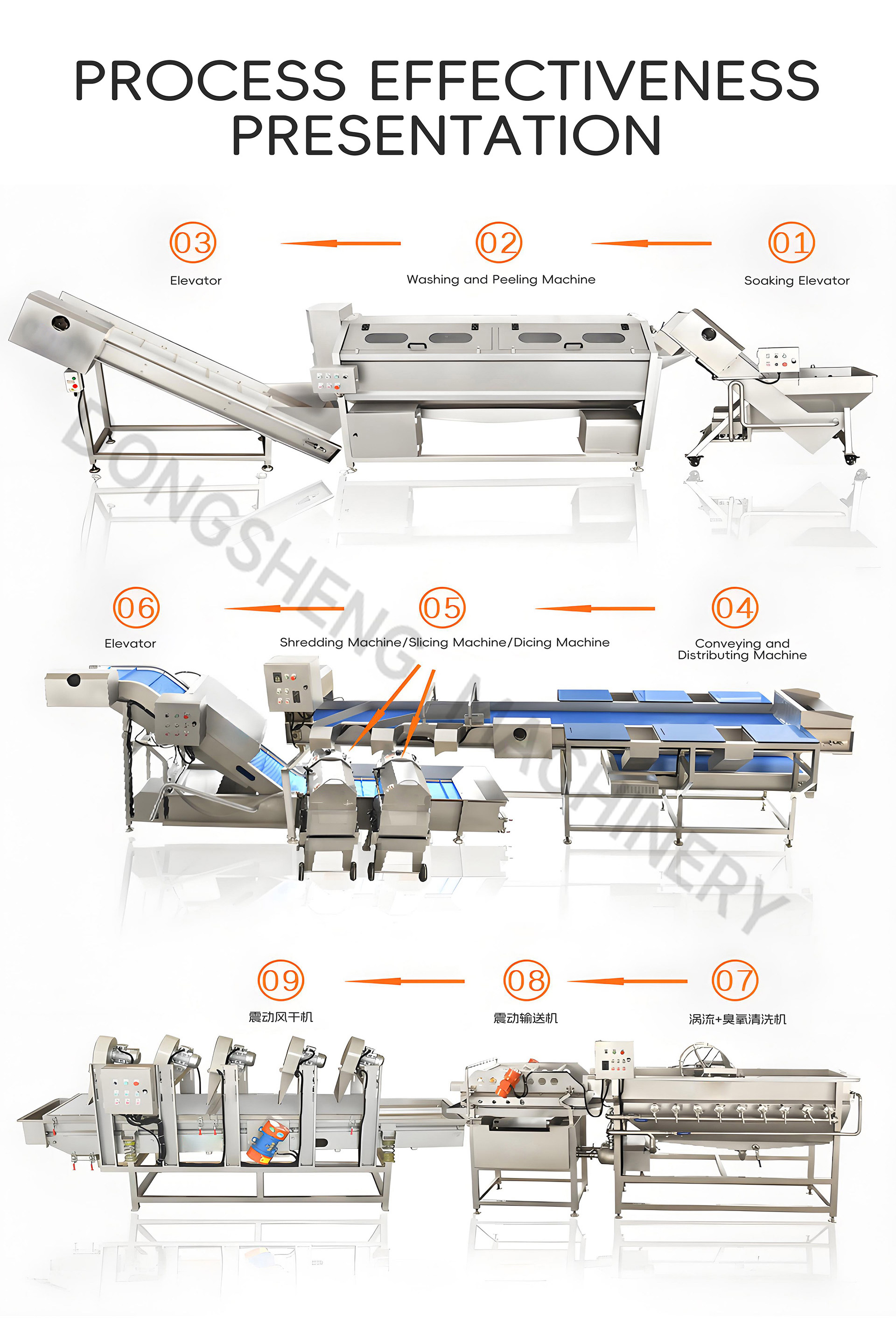 根茎类蔬菜加工流水线英文_05