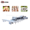 304 Stainless Steel Large Scale Meatball Mechanical Line with Mixers for Beef Slaughterhouses Large Scale Meatball Processing Line