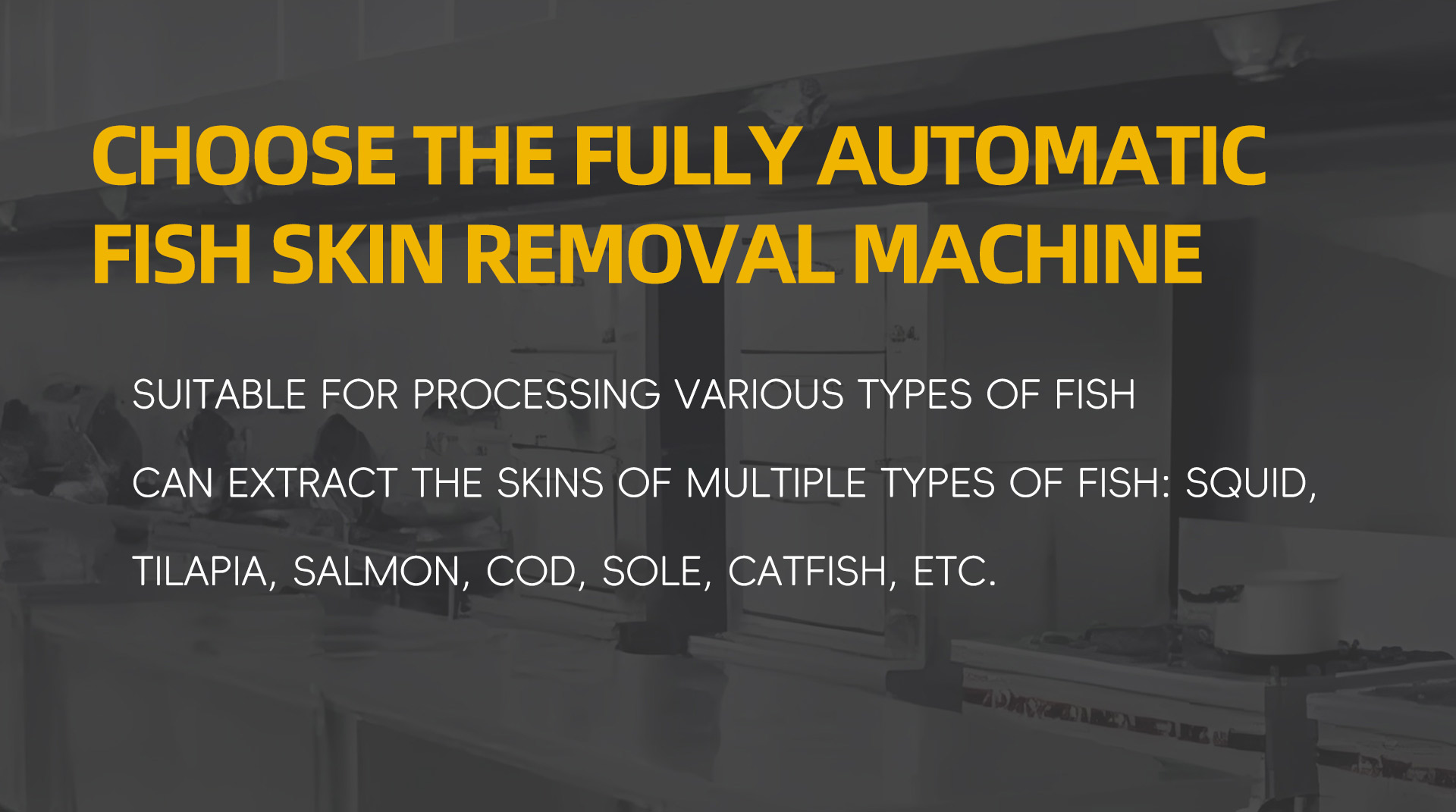 压辊式去鱼皮机英文_06